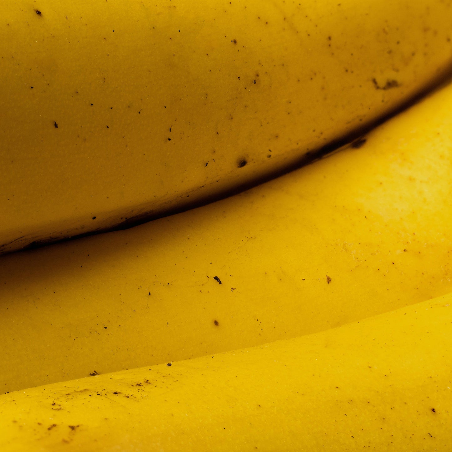 Essentielle Fairtrade-Bananen