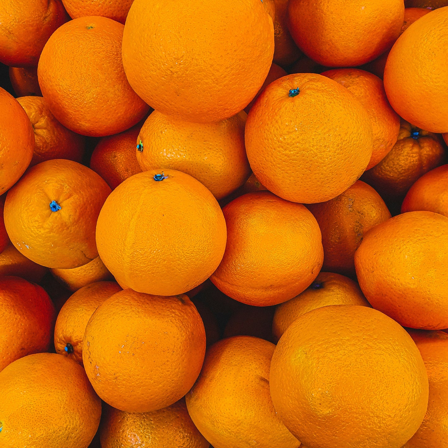 Einfach zu schälende Orangen