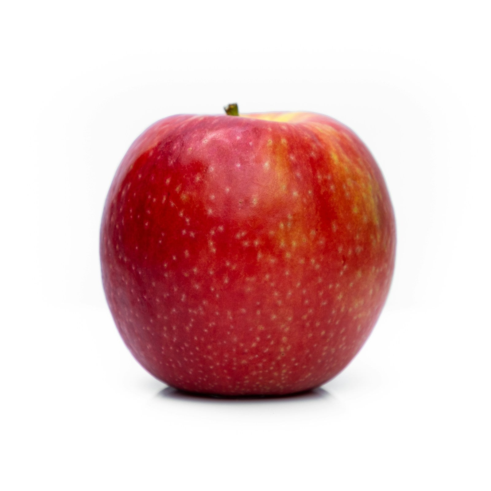Royal Gala Apples Loose