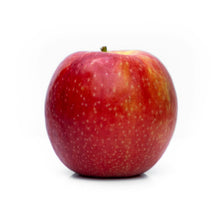 Royal Gala Apples Loose