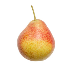 Blush Pears Loose