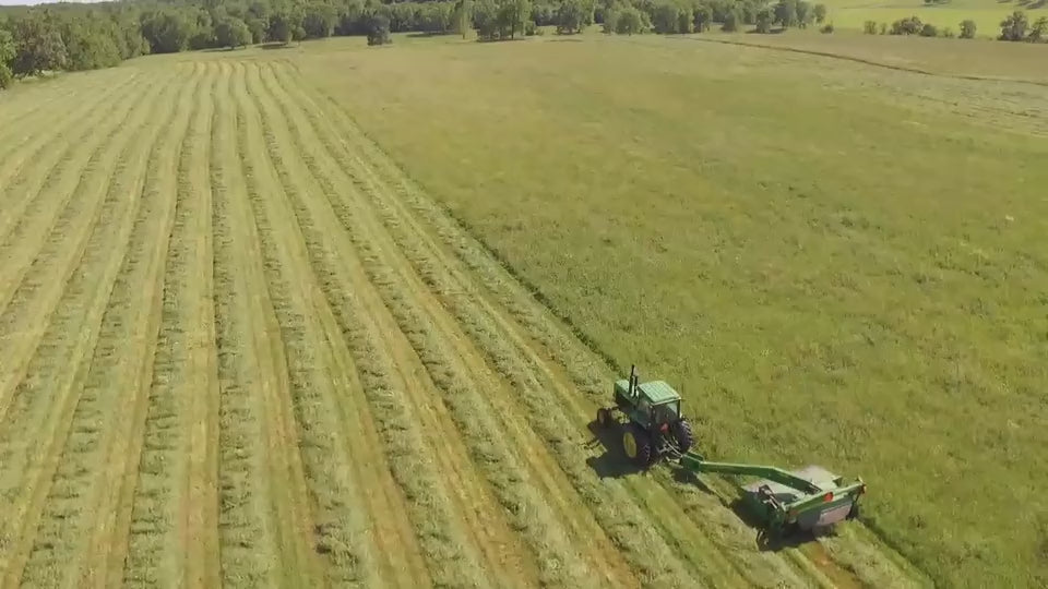 تحميل الفيديو: 